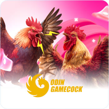 OD_COCK - Nhà cung cấp trò chơi Cock Fighting tại AE888