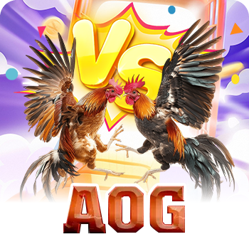 WCC - Nhà cung cấp trò chơi Cock Fighting tại AE888