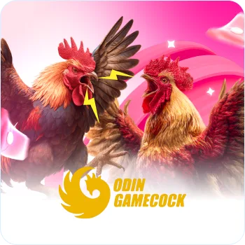 ODIN Gamecock